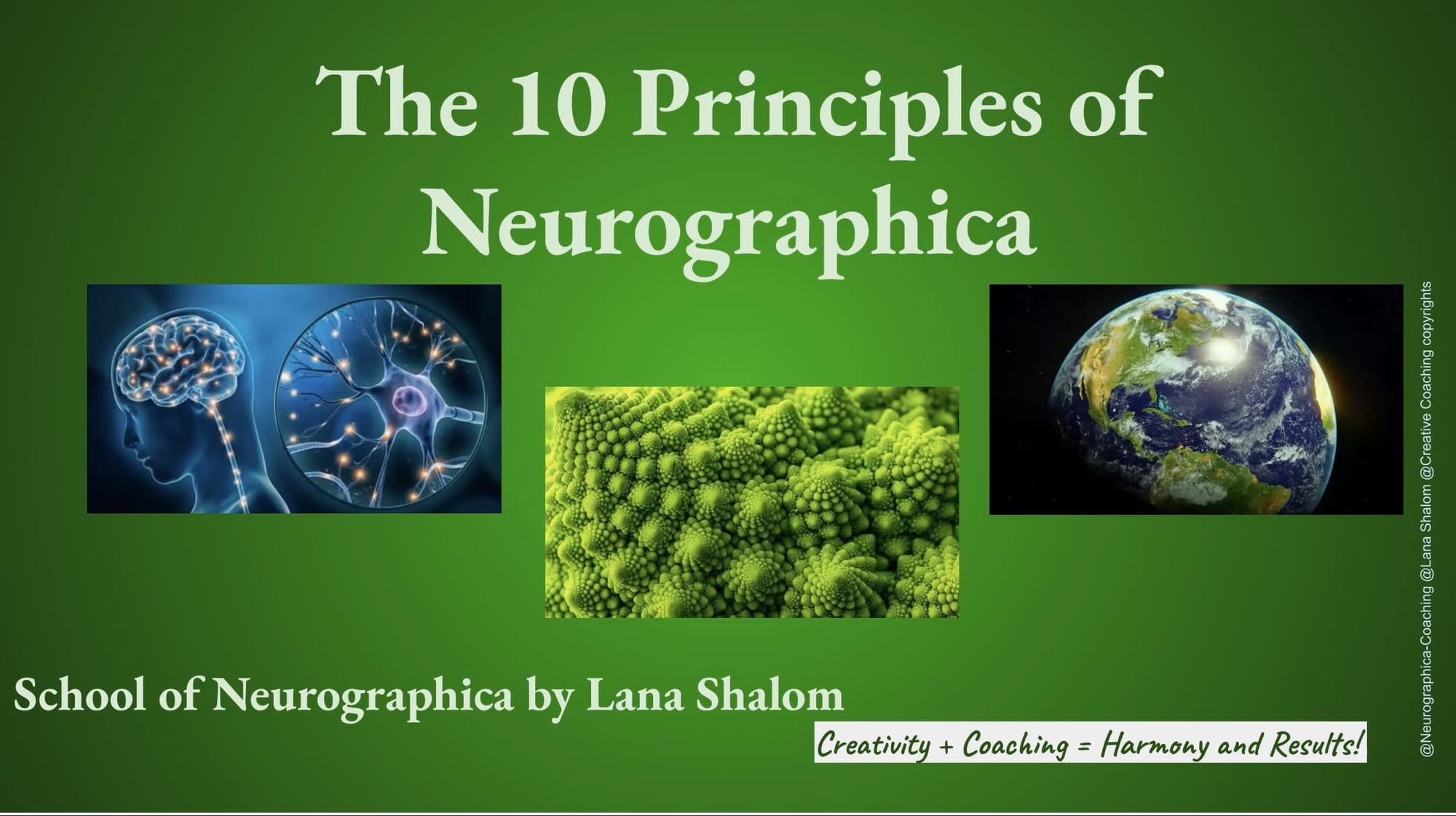 The 10 Principles of Neurographica