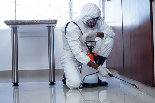 Pest Control Gandhi Nagar Ghaziabad