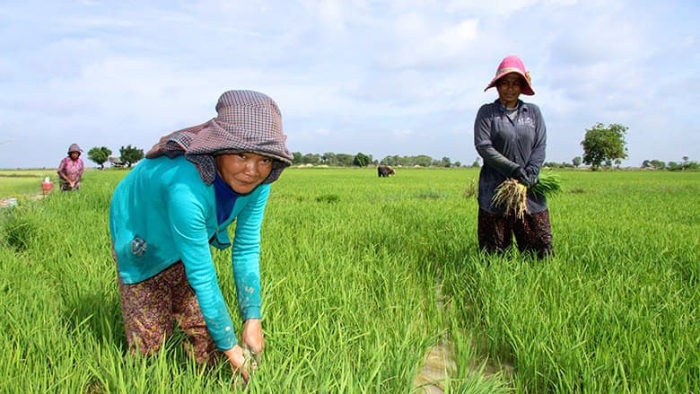 We support our khmer products