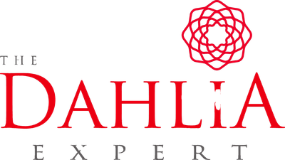 The Dahlia Expert