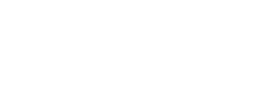 INTACT SYSTEMS