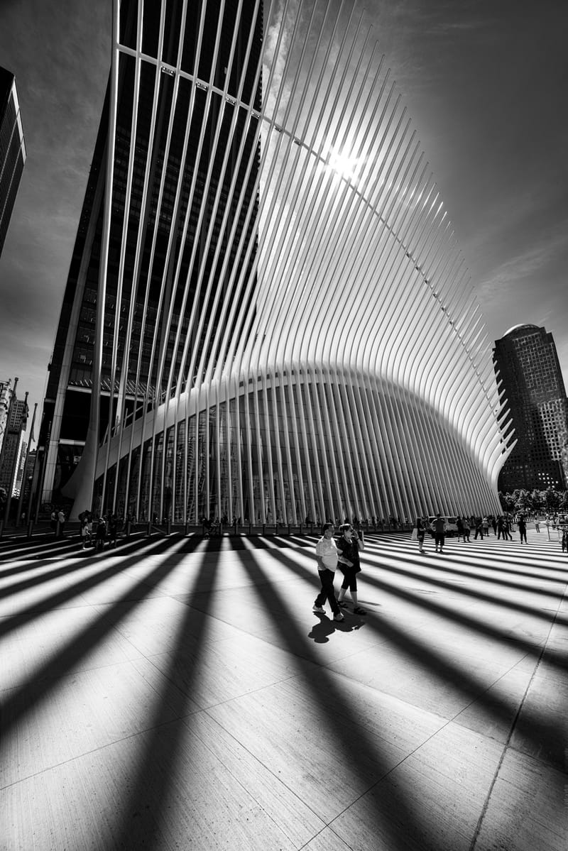 “Elégance des lignes architecturales”