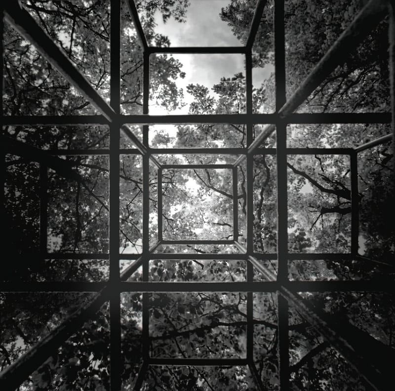 Ultra grand angle et contre plongée. La nature