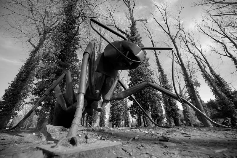 Ultra grand angle et contre plongée. La nature