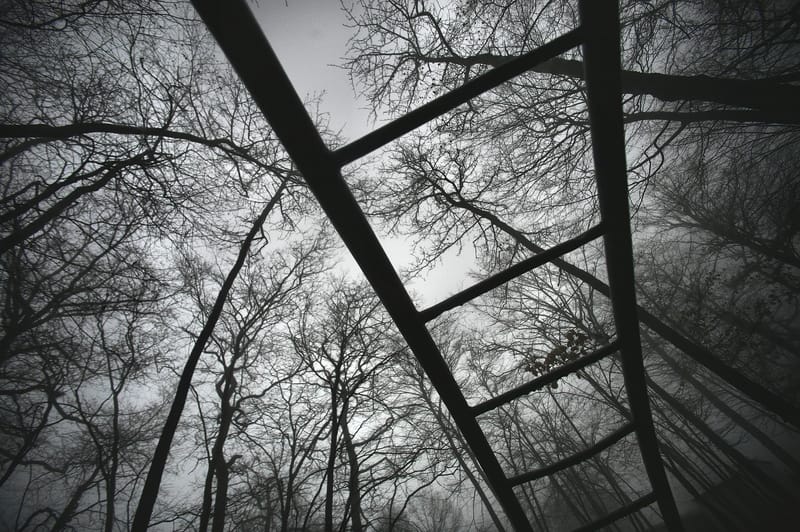 Ultra grand angle et contre plongée. La nature