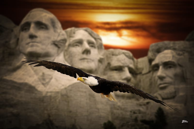 IMAGES'IN - SERRES CELESTES