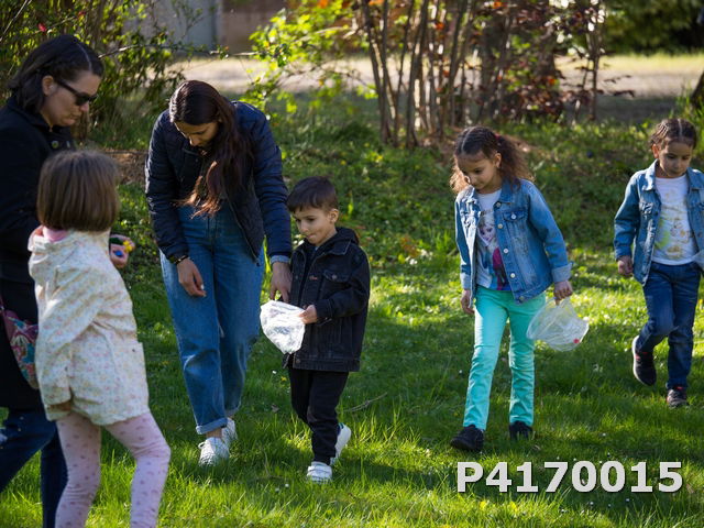 Chasse aux oeufs 2022