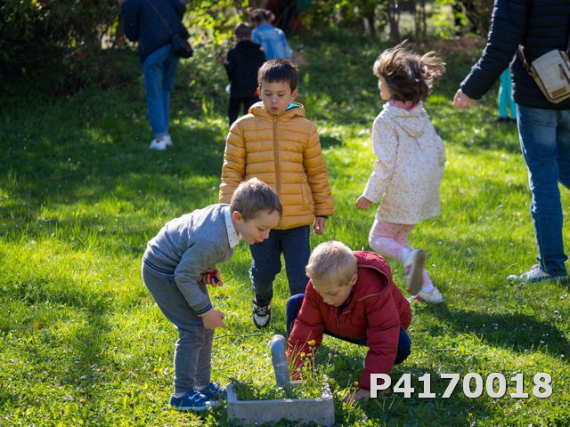 Chasse aux oeufs 2022