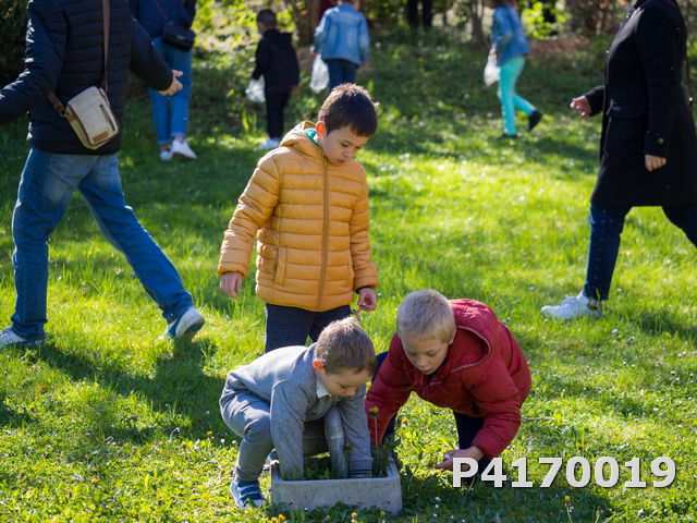 Chasse aux oeufs 2022