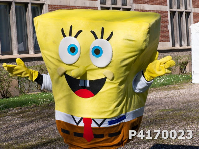 Chasse aux oeufs 2022