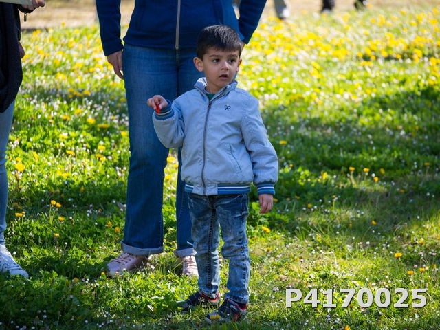 Chasse aux oeufs 2022