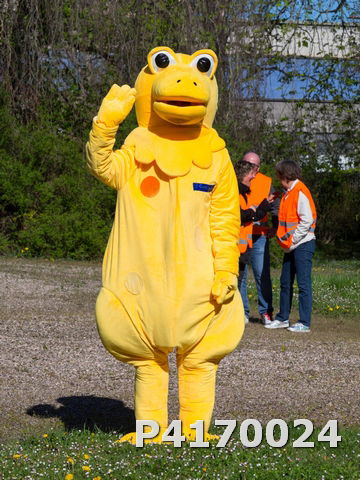 Chasse aux oeufs 2022