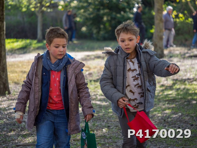 Chasse aux oeufs 2022