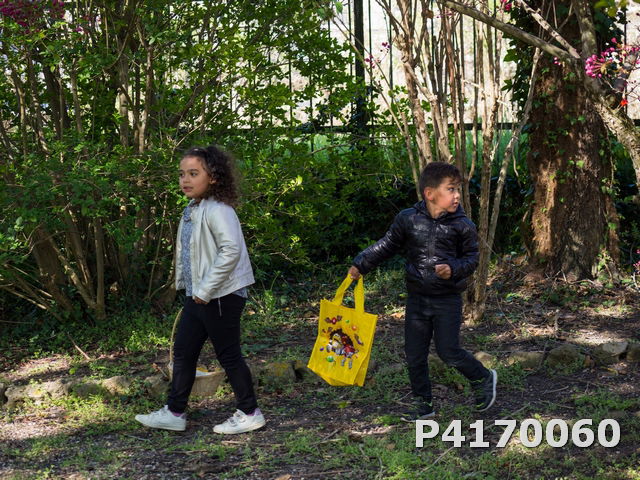 Chasse aux oeufs 2022