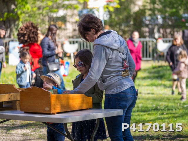 Chasse aux oeufs 2022