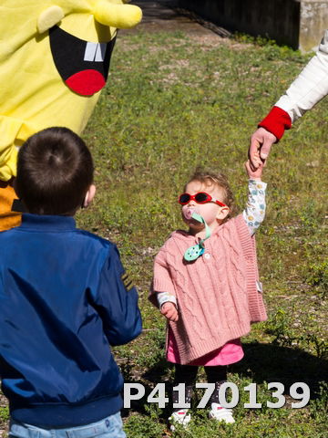 Chasse aux oeufs 2022