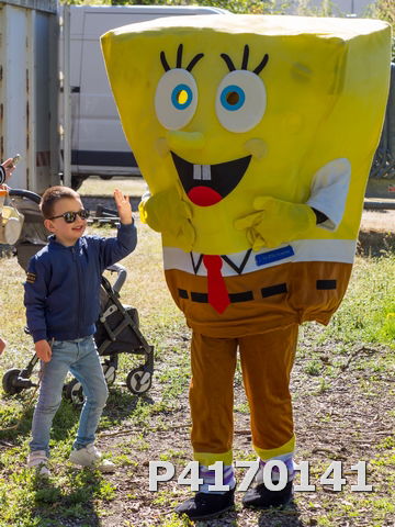 Chasse aux oeufs 2022