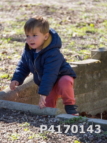 Chasse aux oeufs 2022