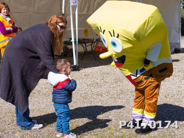 Chasse aux oeufs 2022