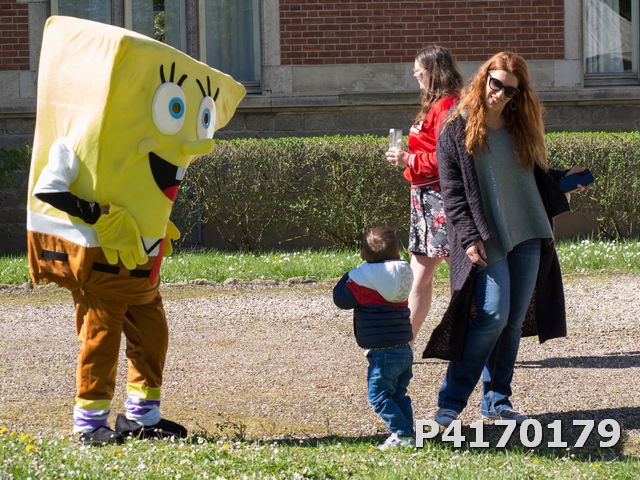 Chasse aux oeufs 2022