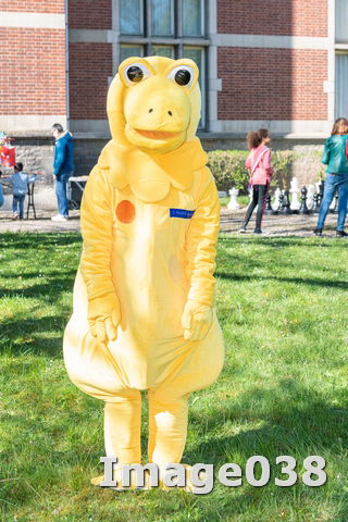 Chasse aux oeufs 2022