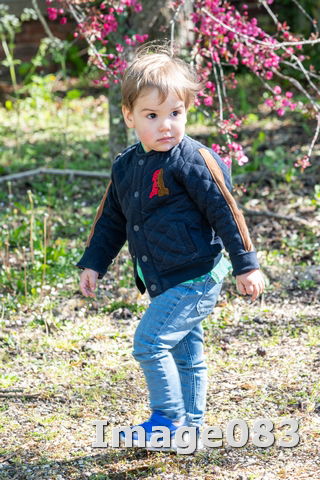 Chasse aux oeufs 2022