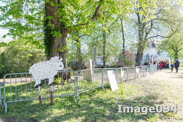 Chasse aux oeufs 2022