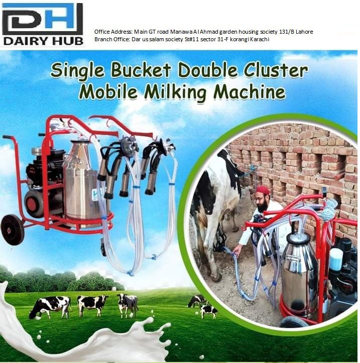 DOUBLE CLUSTER SINGLE BUCKET