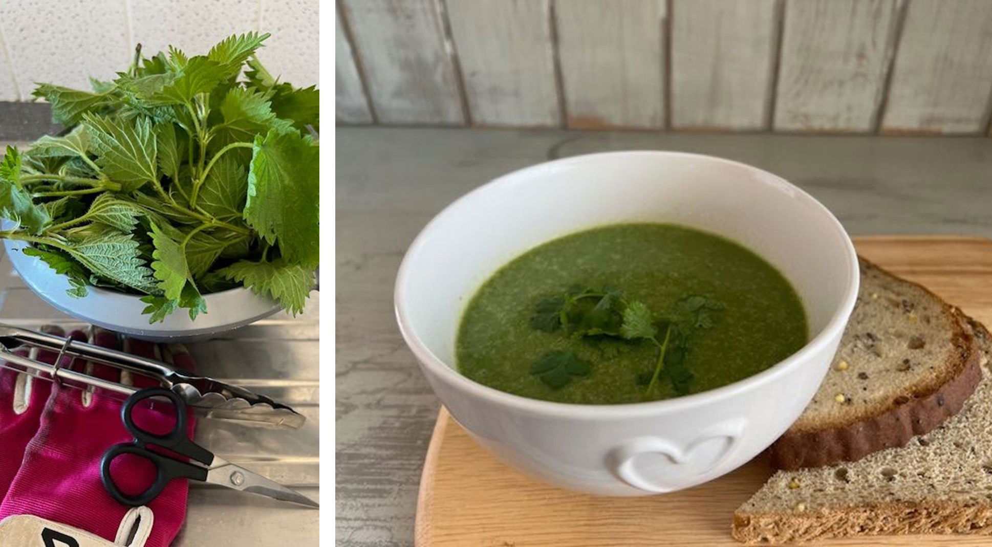 Nettle Soup