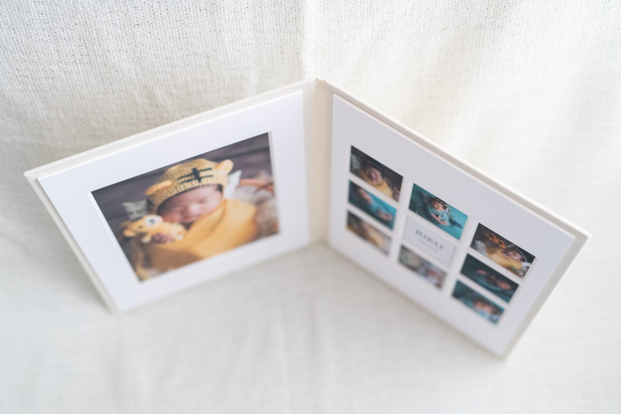 Frame Mount（二面台紙） ¥15,000 - cocco newborn