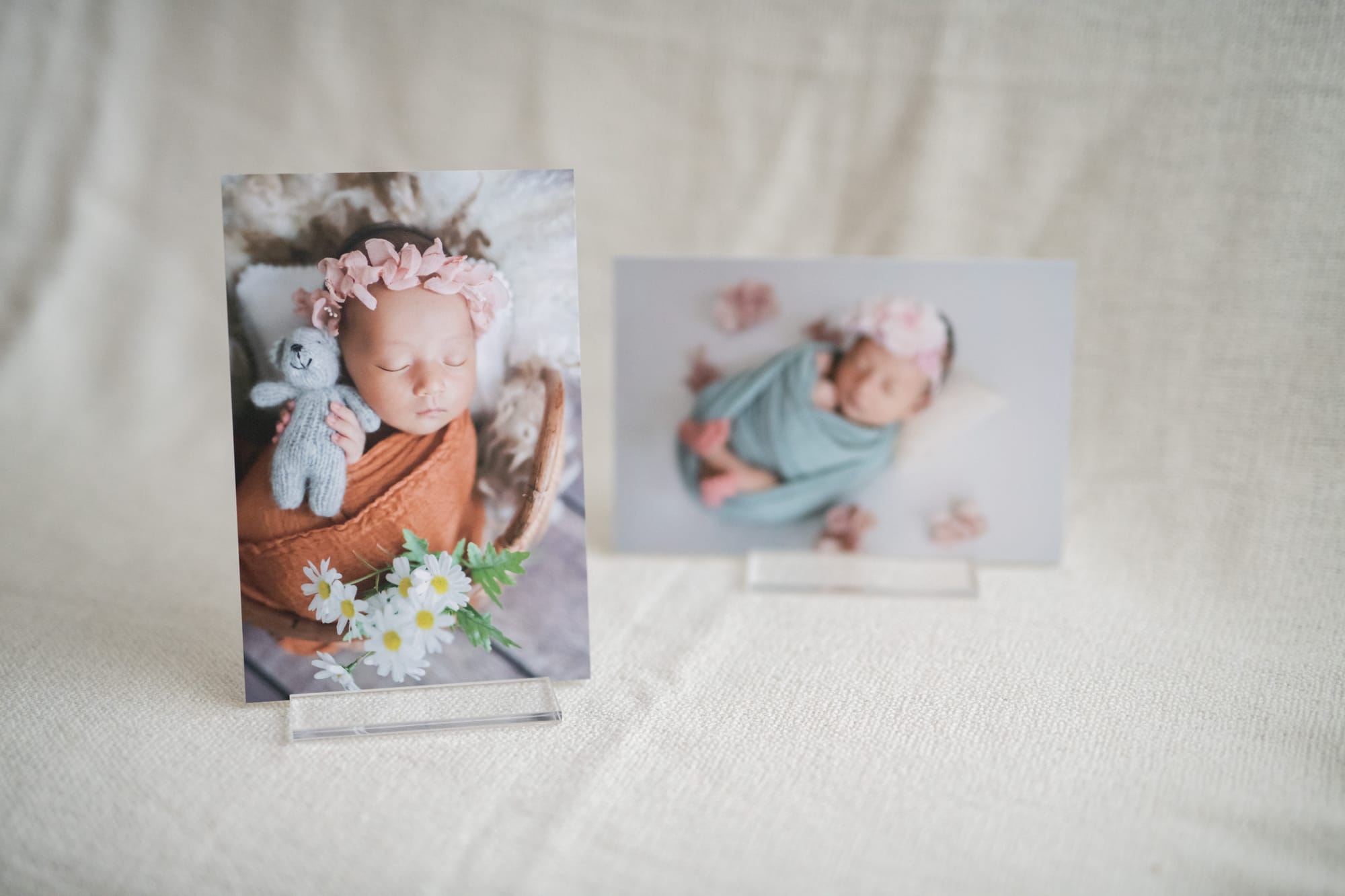 Galley Box Collection