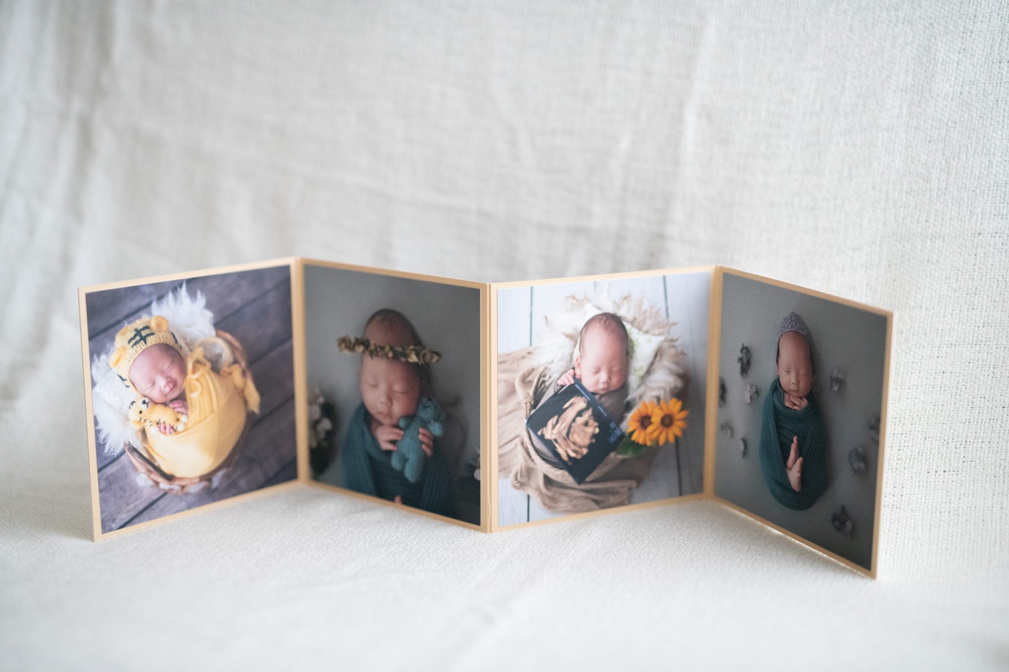 Bellows Album（ジャバラアルバム）