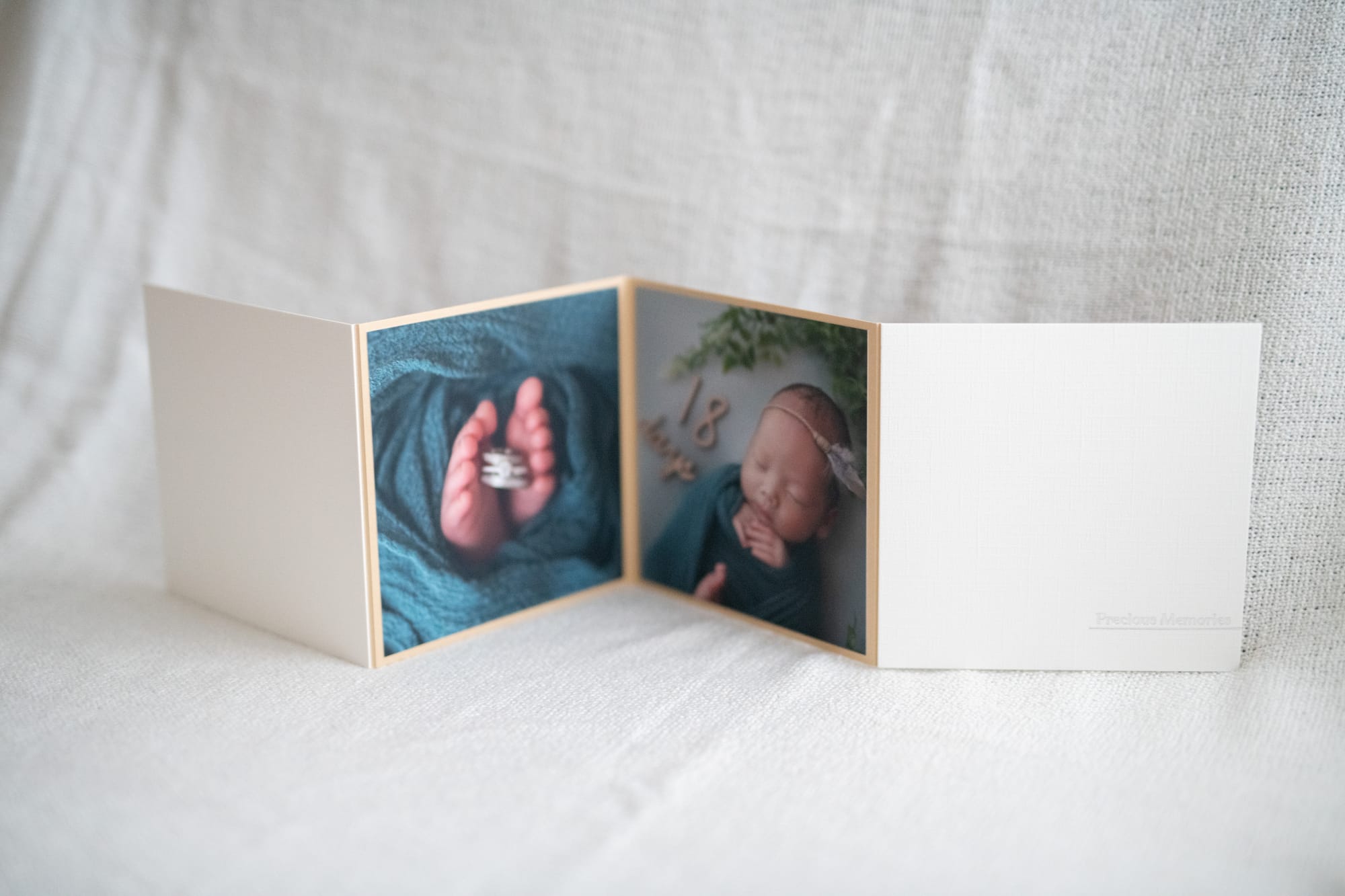 Bellows Album（ジャバラアルバム）