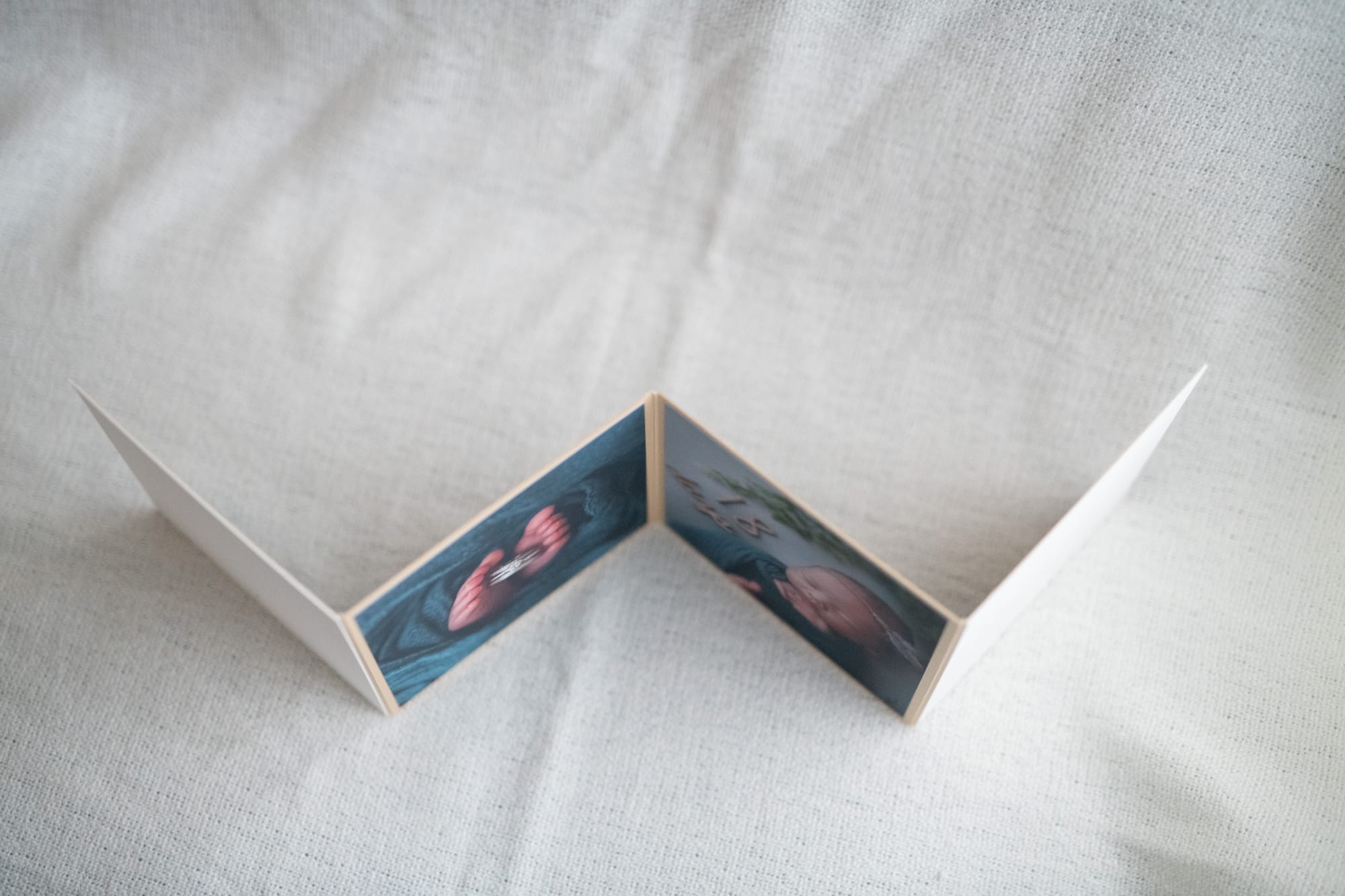 Bellows Album（ジャバラアルバム）