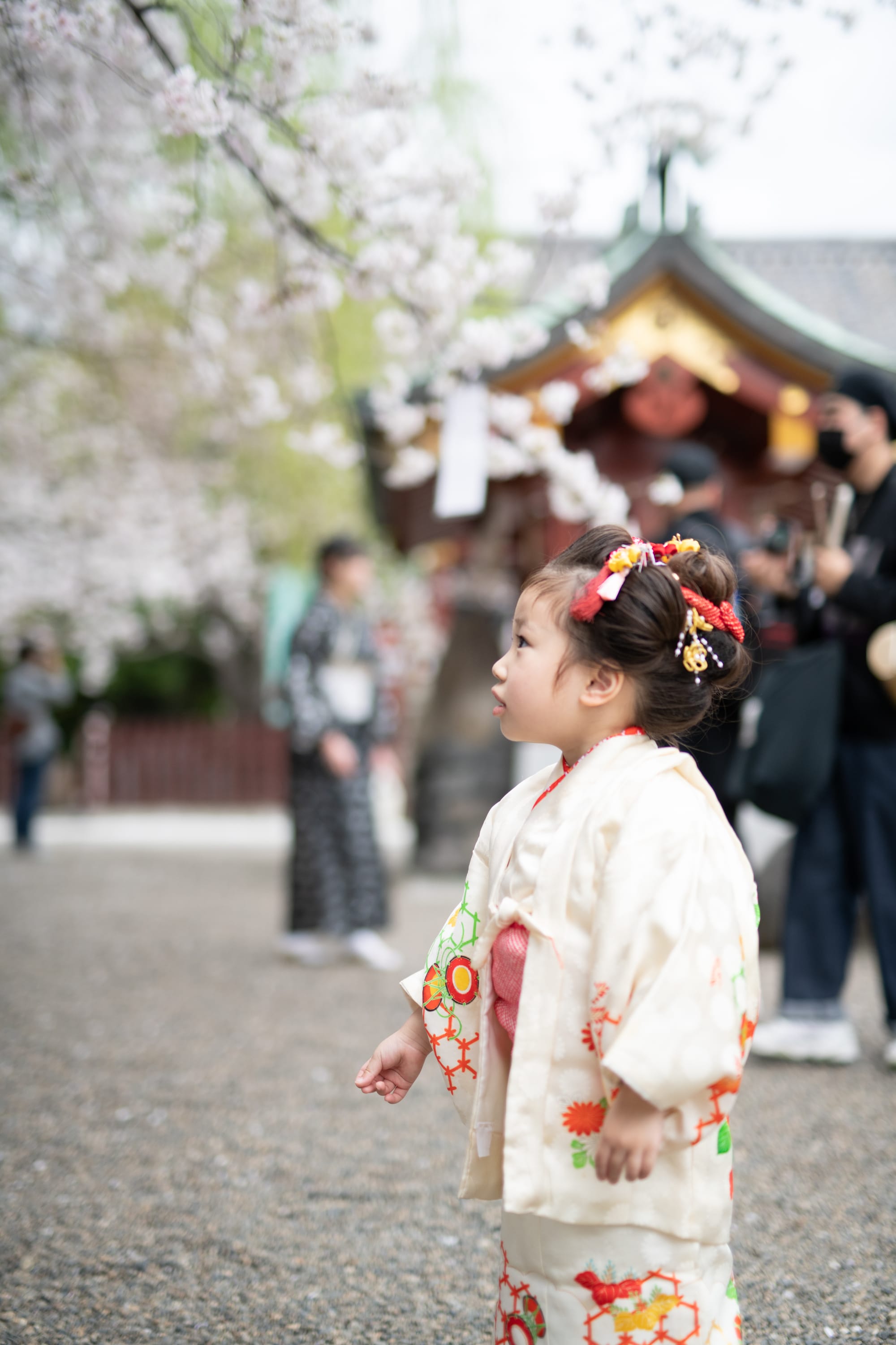 七五三ロケーション撮影