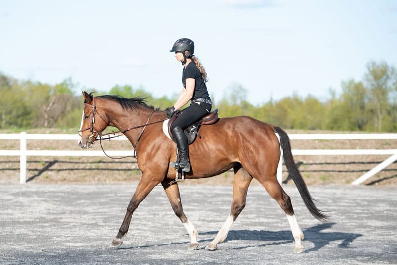 Riding Lessons