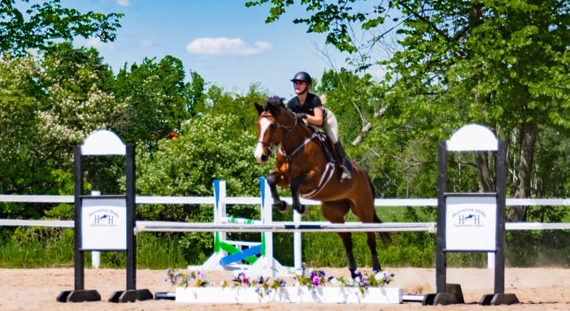 2024 K.H.J.A Hunter - Jumper Show #1