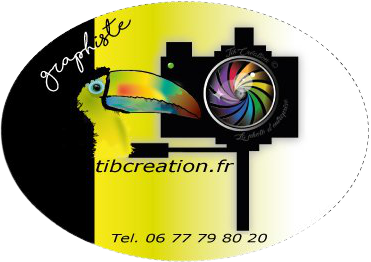 TIBCreation