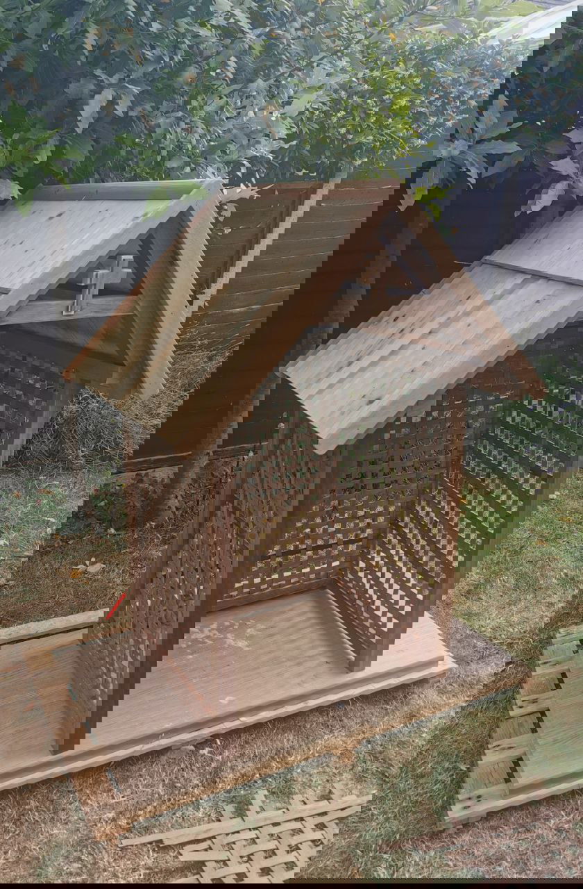 Grotto -  wood, walnut