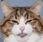 FACES!!!!!!!!!!!!!!!