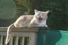 FUNNY!!!!!!!!!!!!!!!!!!!!!!!!