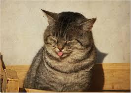 FUNNY!!!!!!!!!!!!!!!!!!!!!!!!