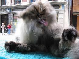 FUNNY!!!!!!!!!!!!!!!!!!!!!!!!