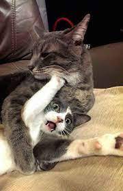 FUNNY!!!!!!!!!!!!!!!!!!!!!!!!