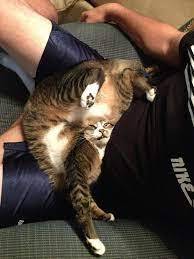 FUNNY!!!!!!!!!!!!!!!!!!!!!!!!
