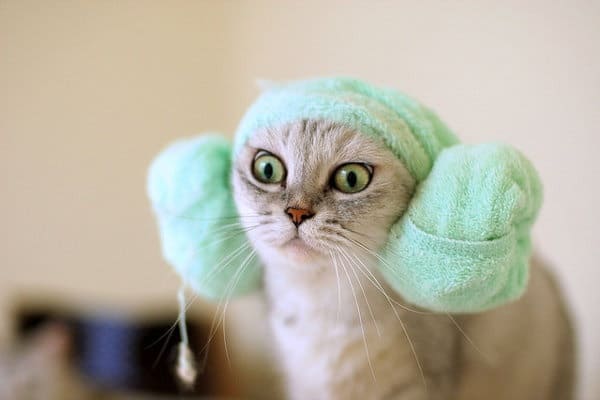 FUNNY!!!!!!!!!!!!!!!!!!!!!!!!