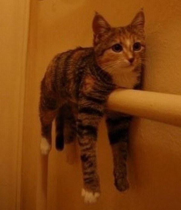 FUNNY!!!!!!!!!!!!!!!!!!!!!!!!