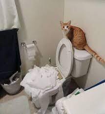 FUNNY!!!!!!!!!!!!!!!!!!!!!!!!