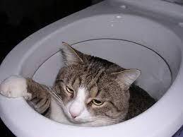 FUNNY!!!!!!!!!!!!!!!!!!!!!!!!