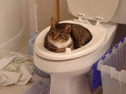 FUNNY!!!!!!!!!!!!!!!!!!!!!!!!